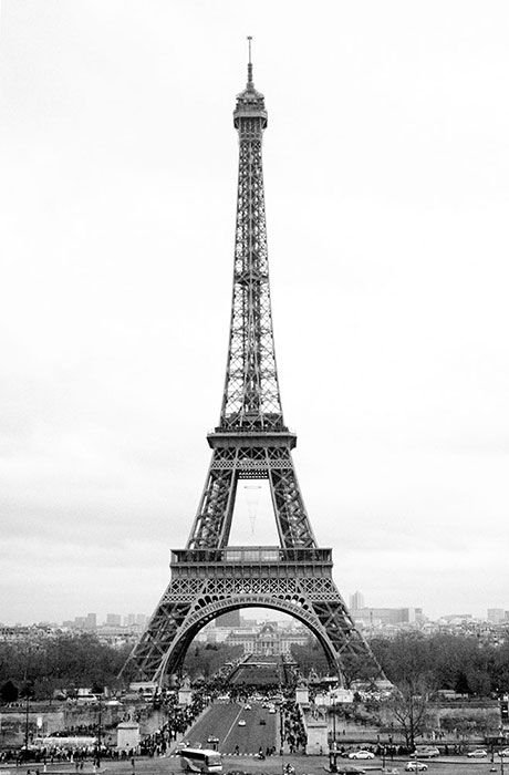Fototapeta na ścianę - Paryż - Wieża Eiffel - 115x175 cm