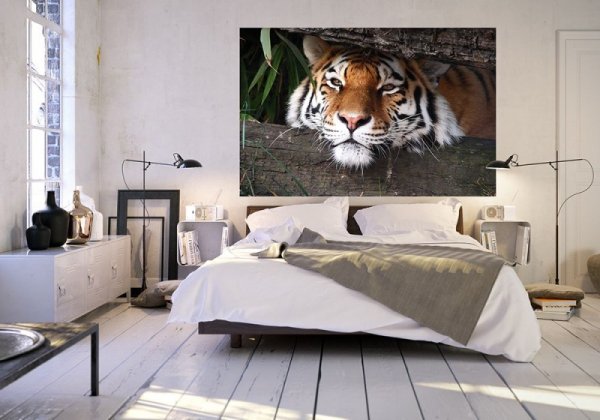 Fototapeta na ścianę - Ukryty tygrys - 175x115 cm