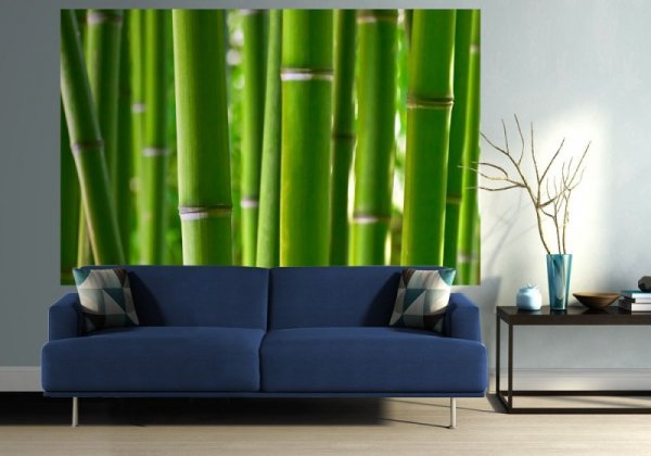 Fototapeta ścienna - Bambusowy las - 175x115 cm