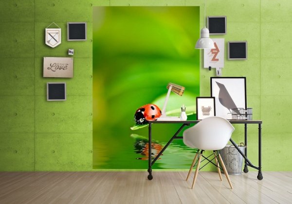 Fototapeta na ścianę - Biedronka na Liściu - 115x175 cm