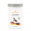EQUINE74 GASTRIC Leczenie i profilaktyka koni z wrzodami pellet 2kg 24H