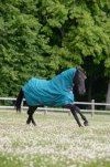 BUCAS FREEDOM FLY SHEET  FULL NECK Derka siatkowa
