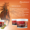 HIPPOVET PHARMACY KIESELGUR FORTE Rozwój i ochrona układu kostnego w okresie wzrostu lub rekonwalescencji 5 kg