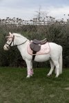 KENTUCKY UNICORN GLITTER Czaprak skokowy