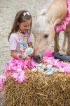 KOŃSKA. CUKIERENKA PIERNICZEK SYRENKI SUMMER TIME Smakołyki/Cukierki naturalne dla koni