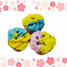 KOŃSKA CUKIERENKA BUKIETY MUFFINKA Smakołyki/Cukierki naturalne dla koni