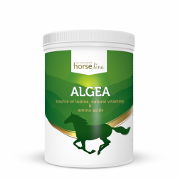 .HorseLinePRO Algea naturalne źródło jodu, poprawa kondycji skóry i sierści koni