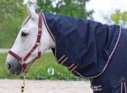 HORSENJOY ARISTO Kaptur do derki bez ocieplenia