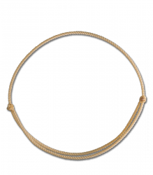 WALDHAUSEN Cordeo Linda Tellington-Jones