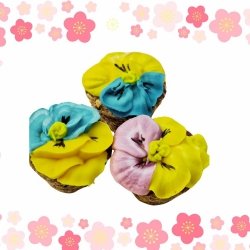 KOŃSKA CUKIERENKA BUKIETY MUFFINKA Smakołyki/Cukierki naturalne dla koni