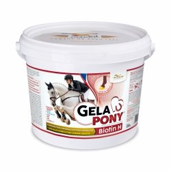 ORLING GelaPony Biotin H BIOTYNA przyspieszająca odbudowę rogu kopyta