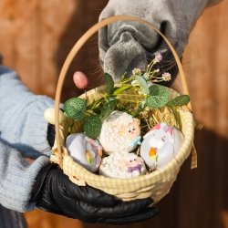 KOŃSKA. CUKIERENKA DONAT WIELKANOCNY Smakołyki/Cukierki naturalne dla koni