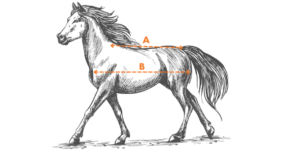JAK WYBRAĆ ODPOWIEDNI ROZMIAR DERKI?