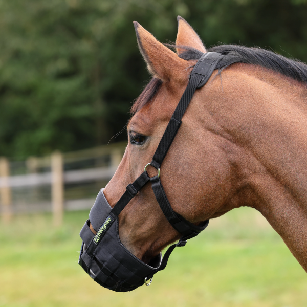SHIRES EQUESTRIAN FREE GRAZE Kaganiec dla konia gumowy