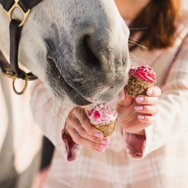KOŃSKA. CUKIERENKA MUFFINKA LOVE Smakołyki/Cukierki naturalne dla koni