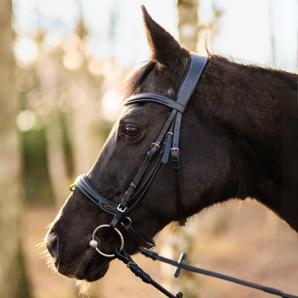 HORSENJOY ANATOMIC Ogłowie anatomiczne nachrapnik kombinowany