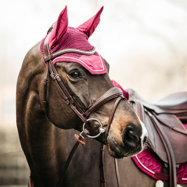KENTUCKY WELLINGTON VELVET Nauszniki dla konia PONY