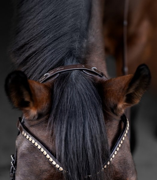 WALDHAUSEN X-LINE BRIDLE RELAXATION Ogłowie anatomiczne