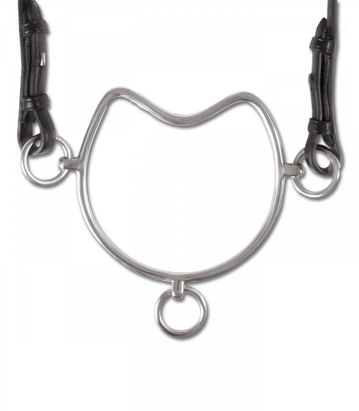 *Waldhausen Kolec 