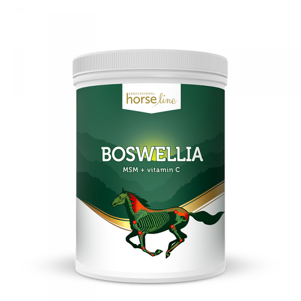 .HorseLinePRO Boswellia Serrata silnie działający preparat przeciwzapalny wzmacniający ścięgna i stawy 2kg