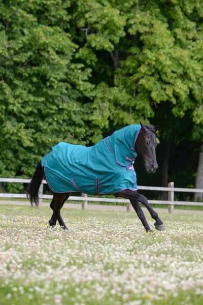 BUCAS FREEDOM FLY SHEET  FULL NECK Derka siatkowa