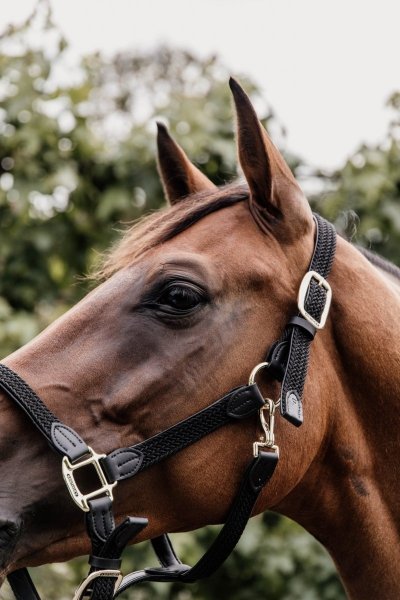 *KENTUCKY NYLON HALTER Pleciony kantar dla koni