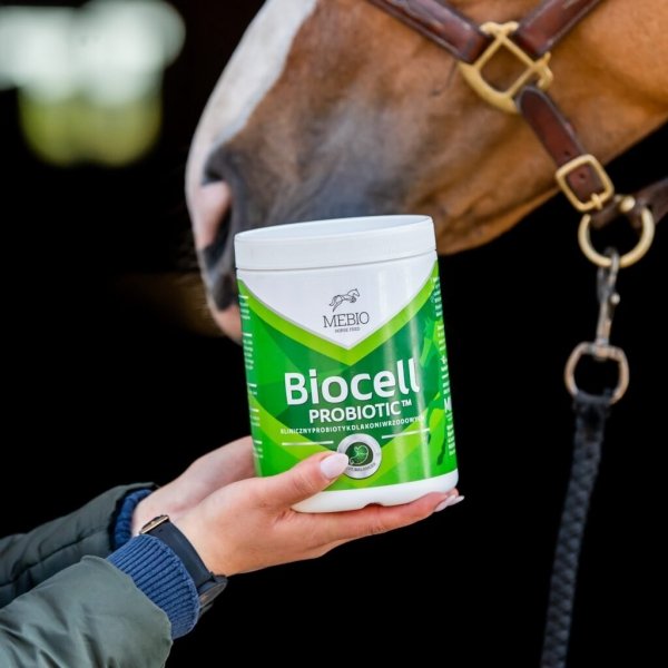 MEBIO BioCELL COMPLEX Probiotyk dla koni 1kg