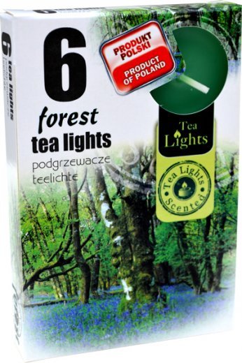 PODGRZEWACZ 6 SZTUK TEA LIGHT "Forest"