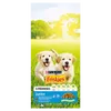 PURINA Friskies Junior Z Kurczakiem Mlekiem I Warzywami 15kg